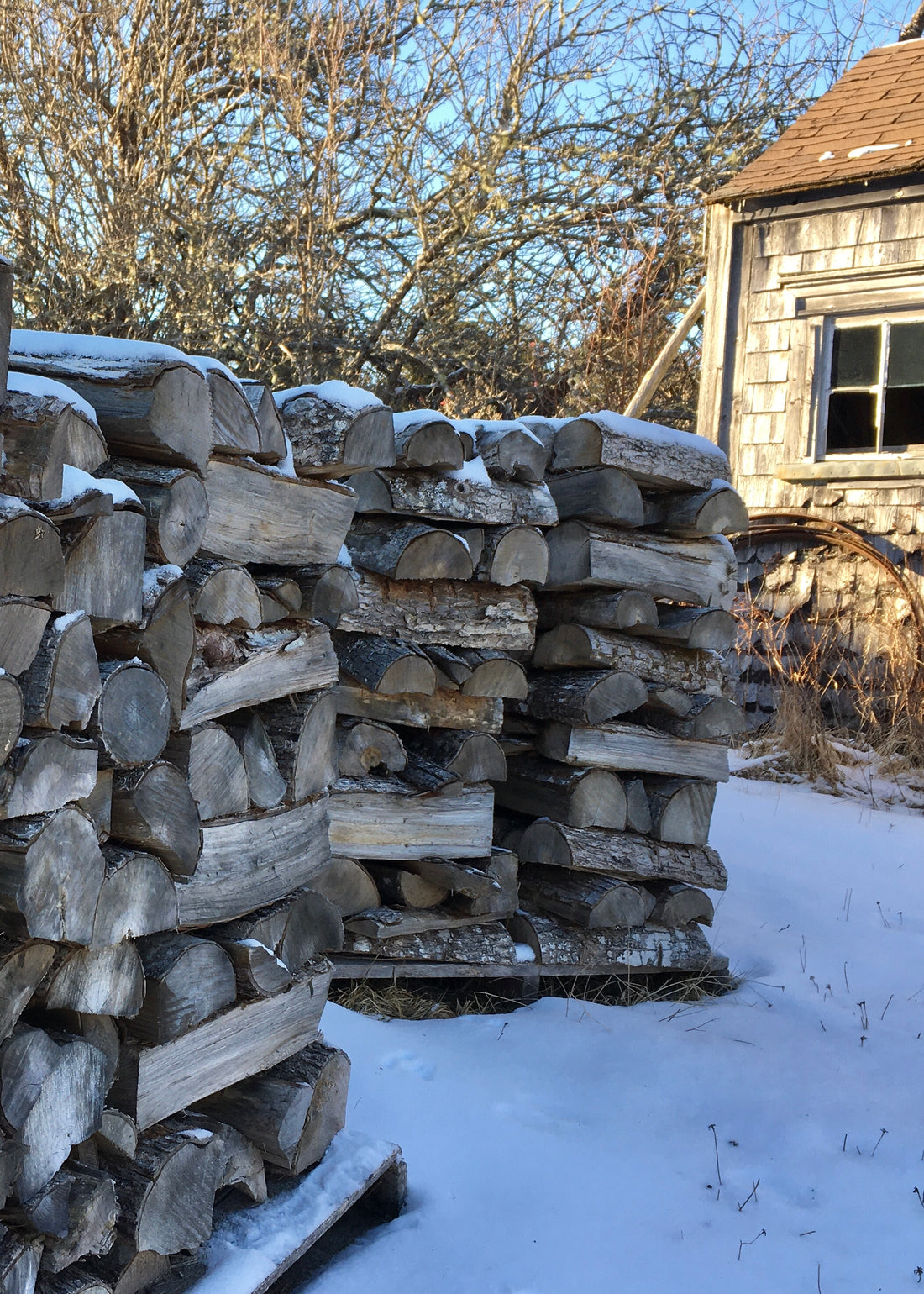 Winter in the Studio