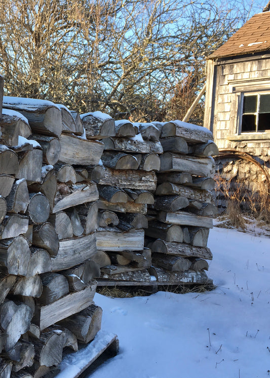 Winter in the Studio