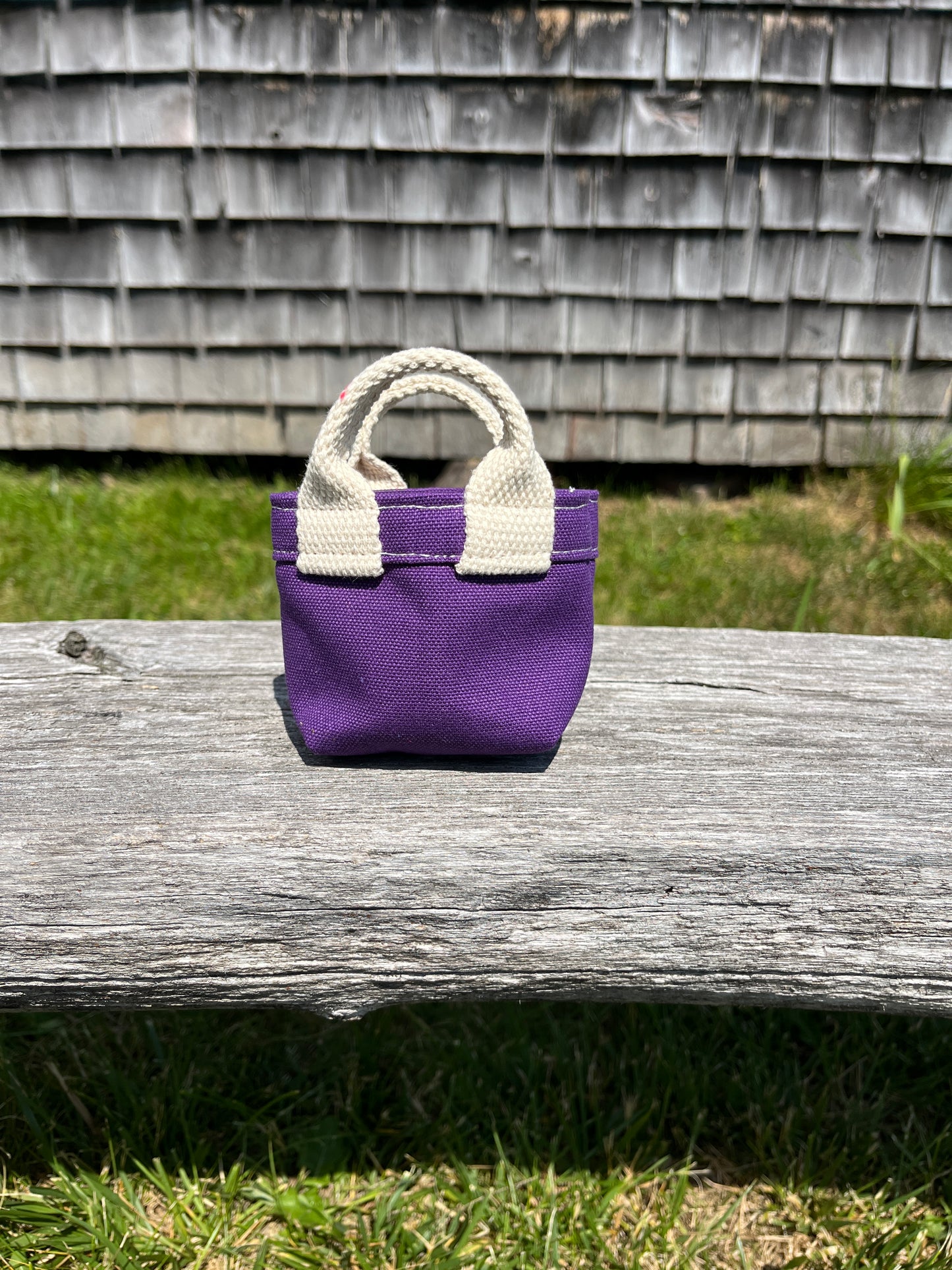 Teeny Tiny Tote