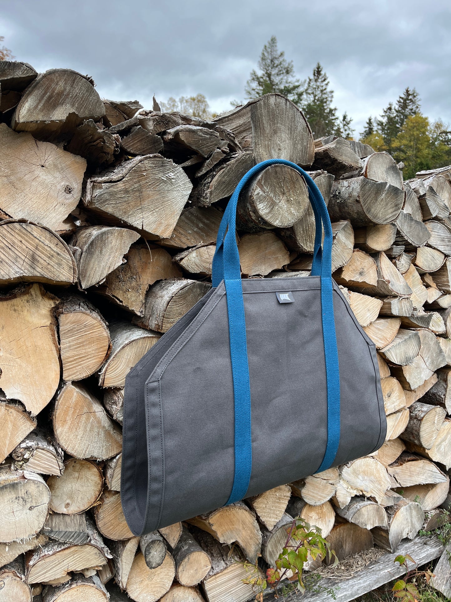 The Firewood Carrier