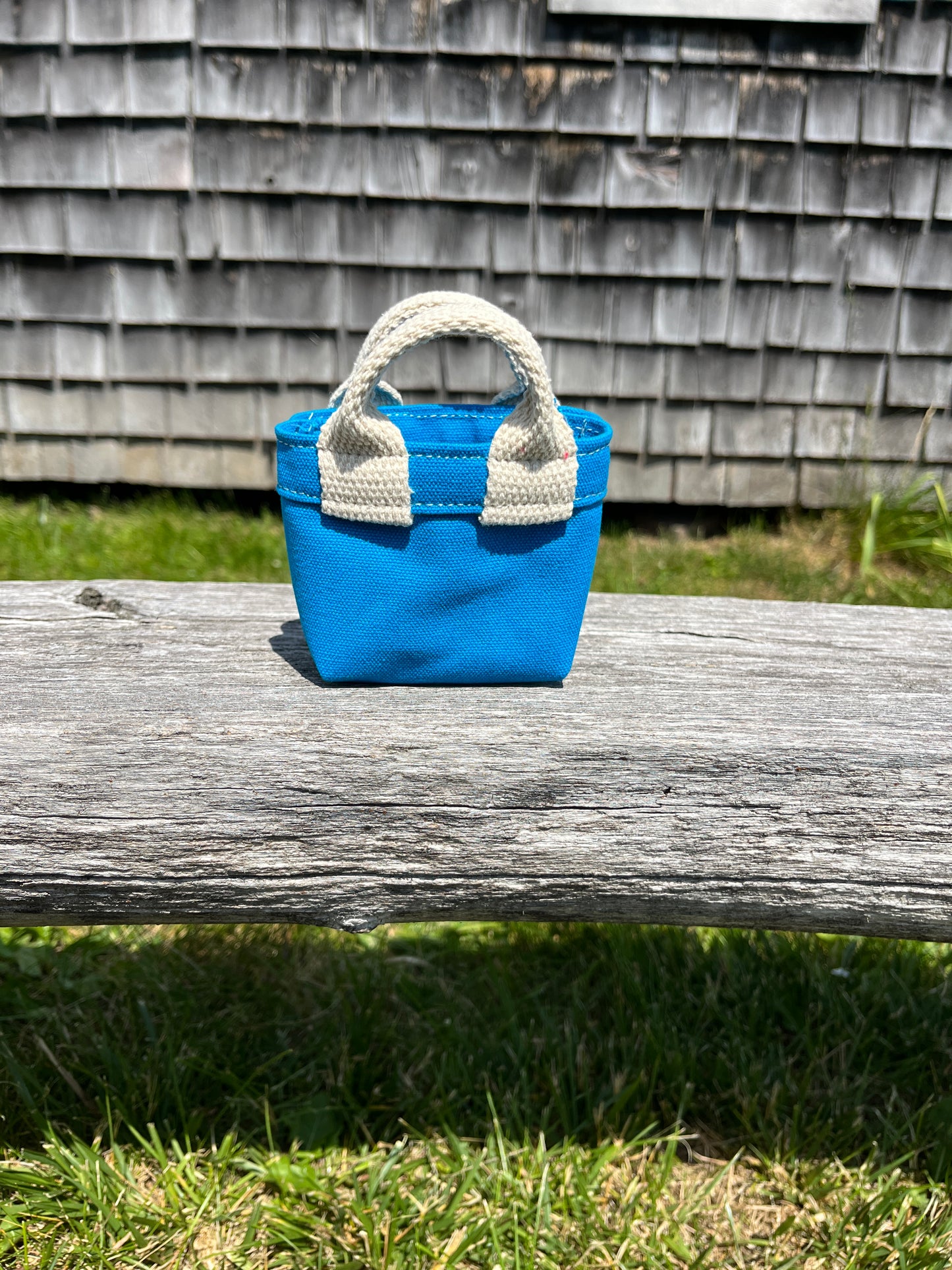 Teeny Tiny Tote